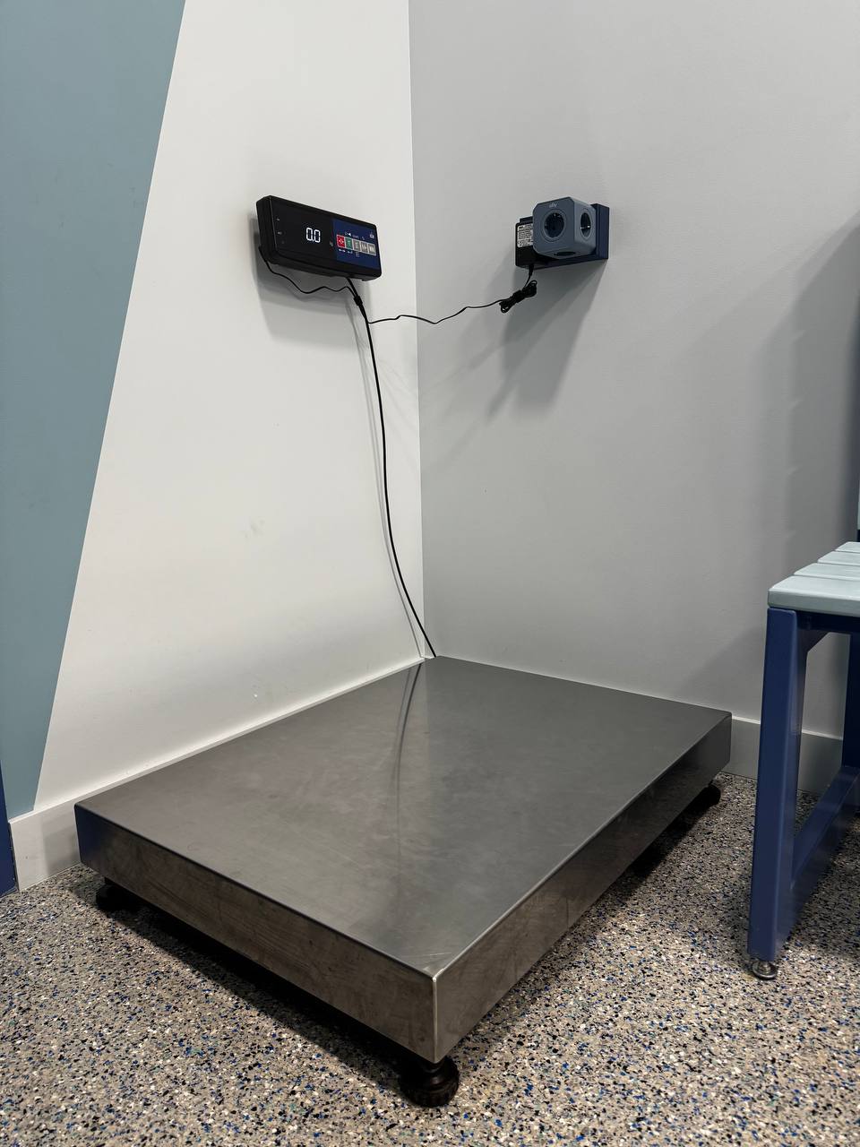 Лечение питомцев