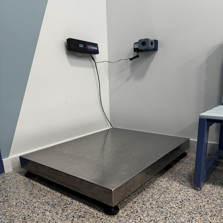 Лечение питомцев