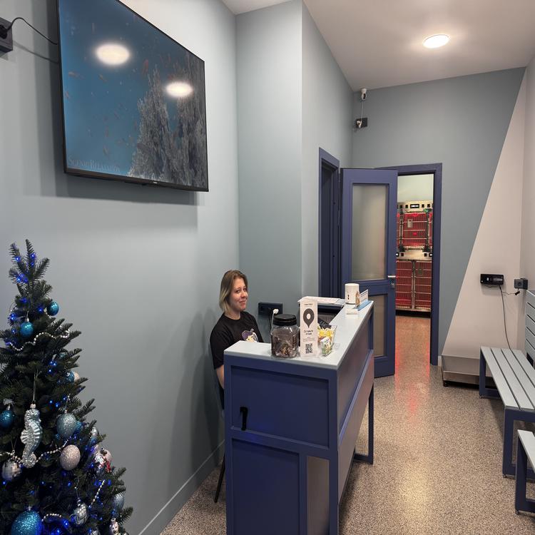 Удобный график работы