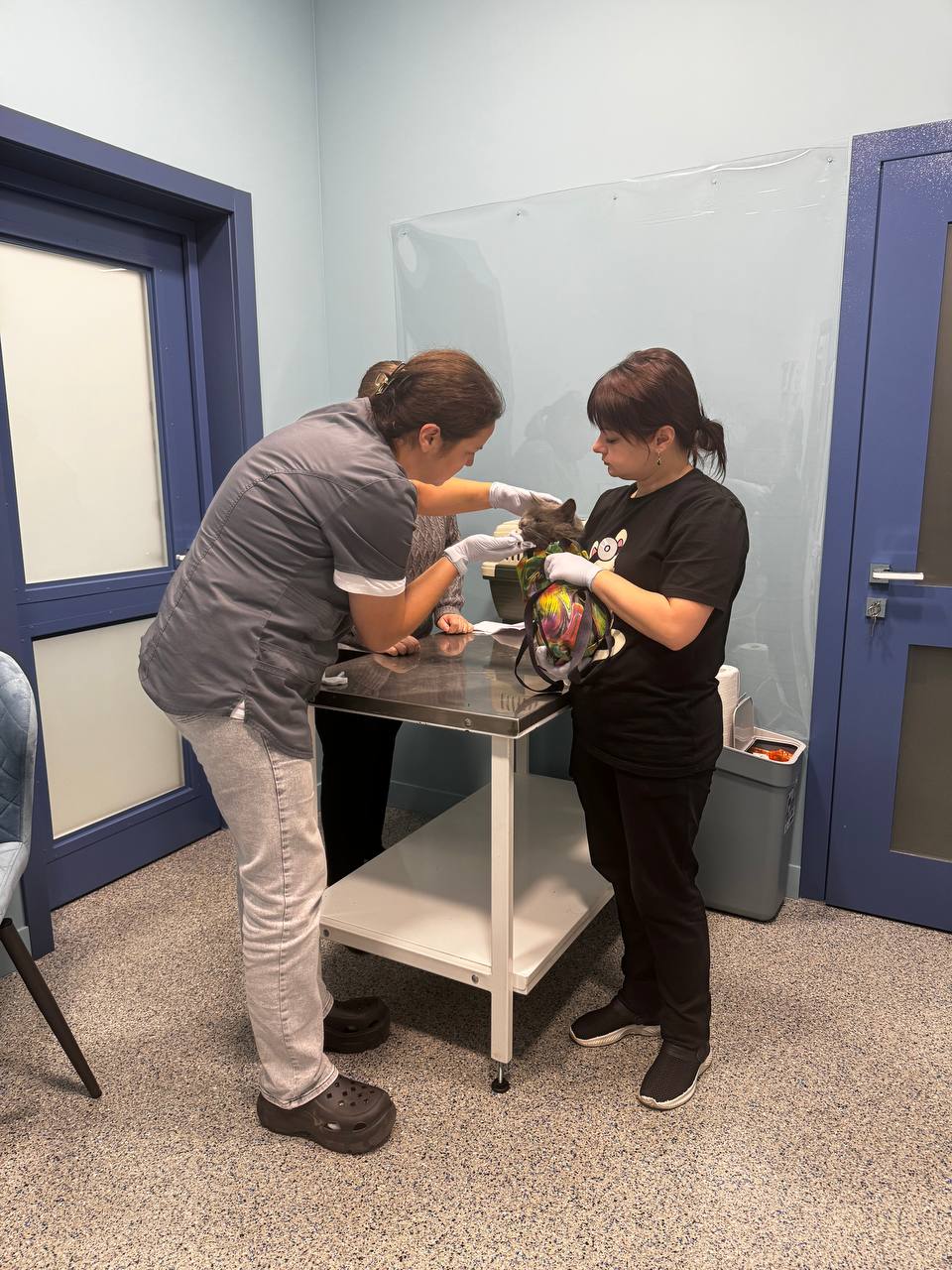 Опытные специалисты