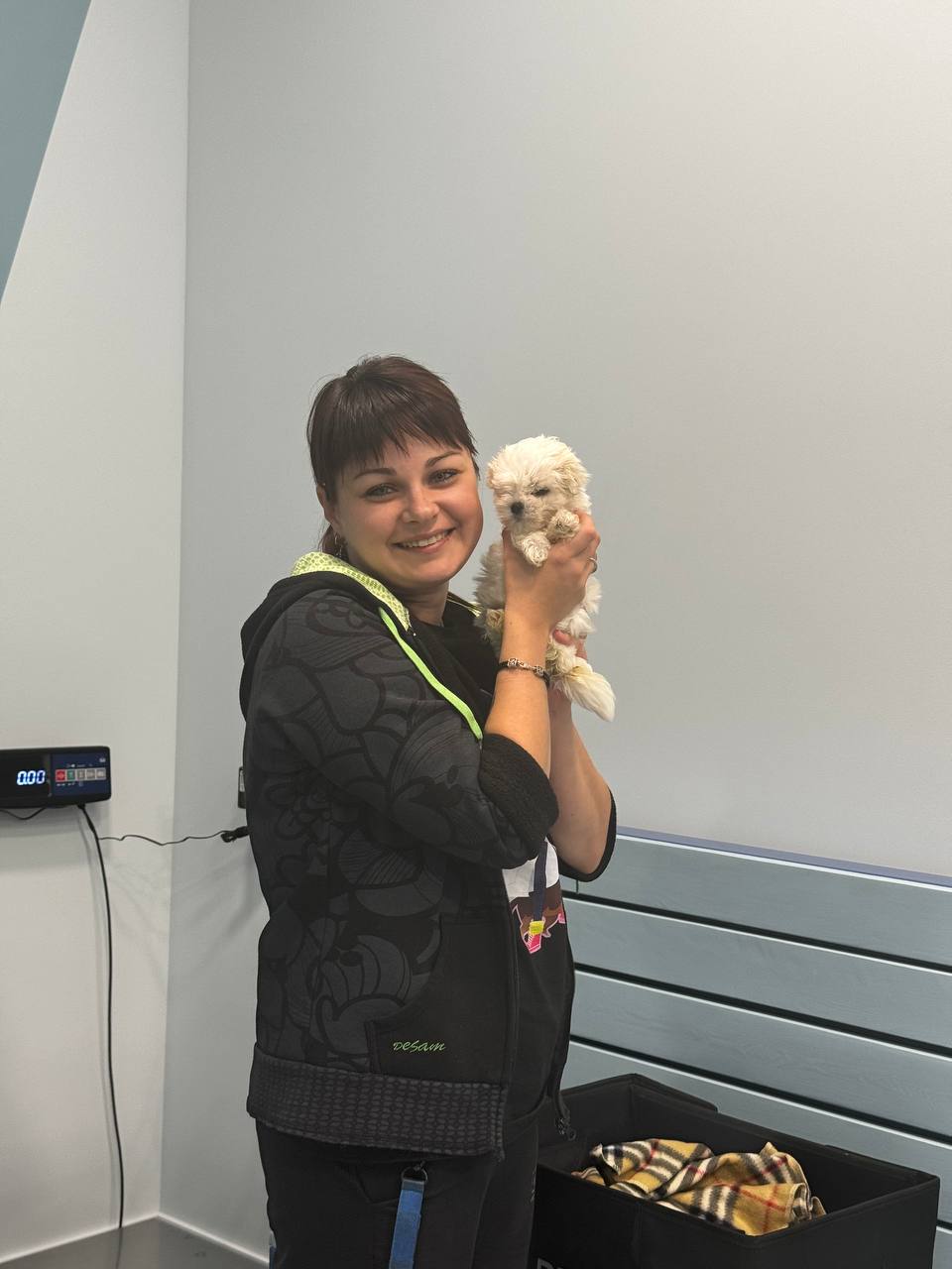 Комфорт для питомцев