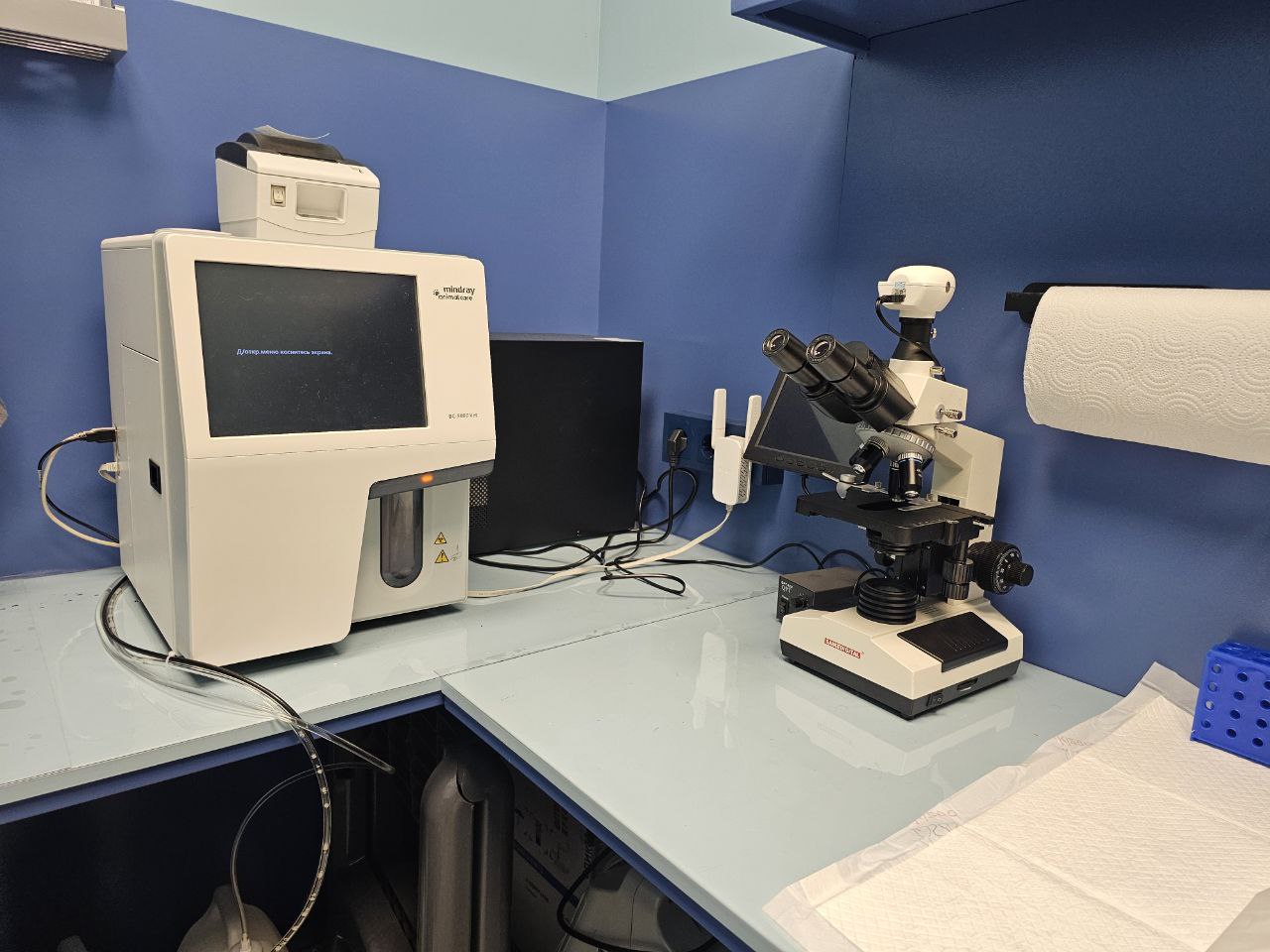 Анализ на пироплазмоз