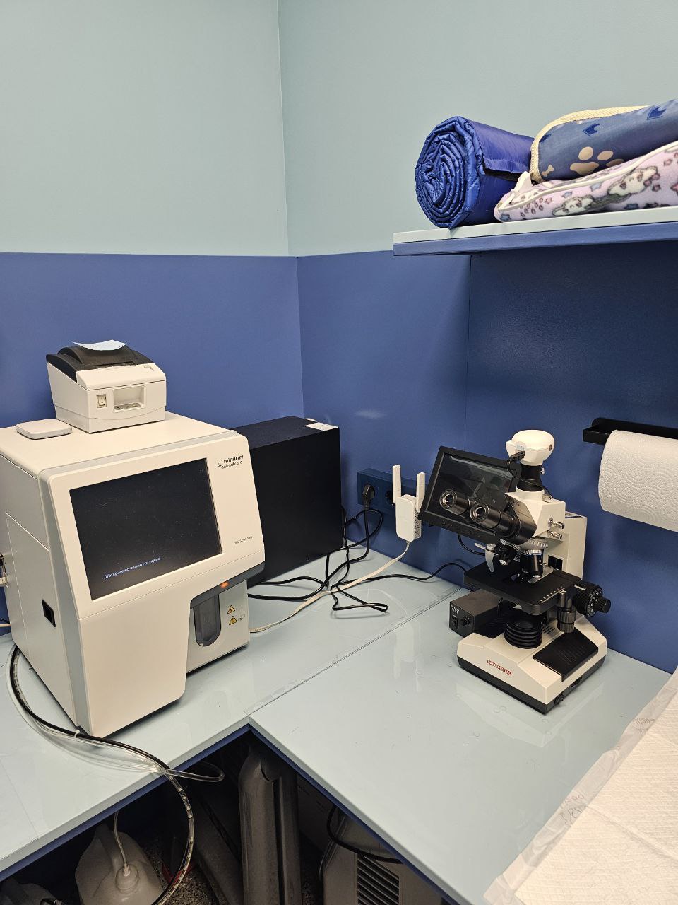 Профессиональная ветеринарная помощь