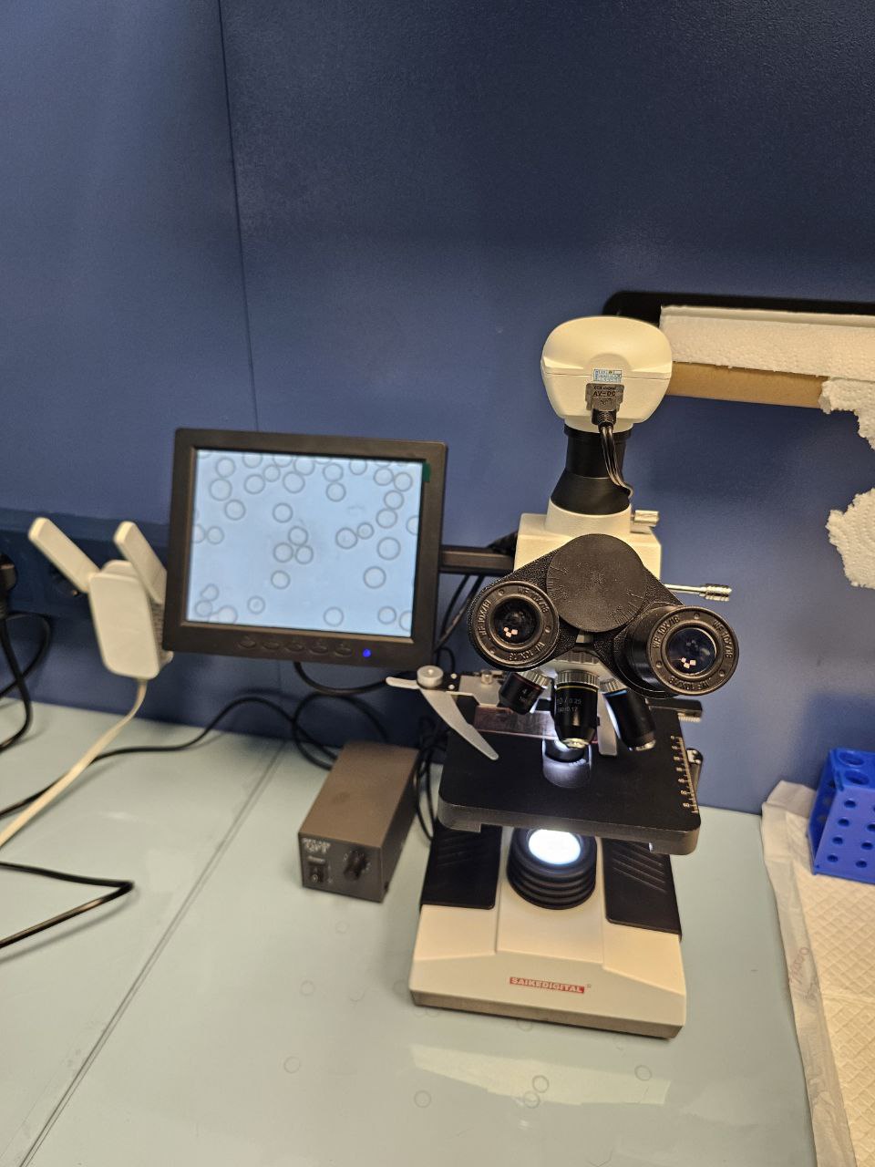 Профессиональная ветеринарная помощь