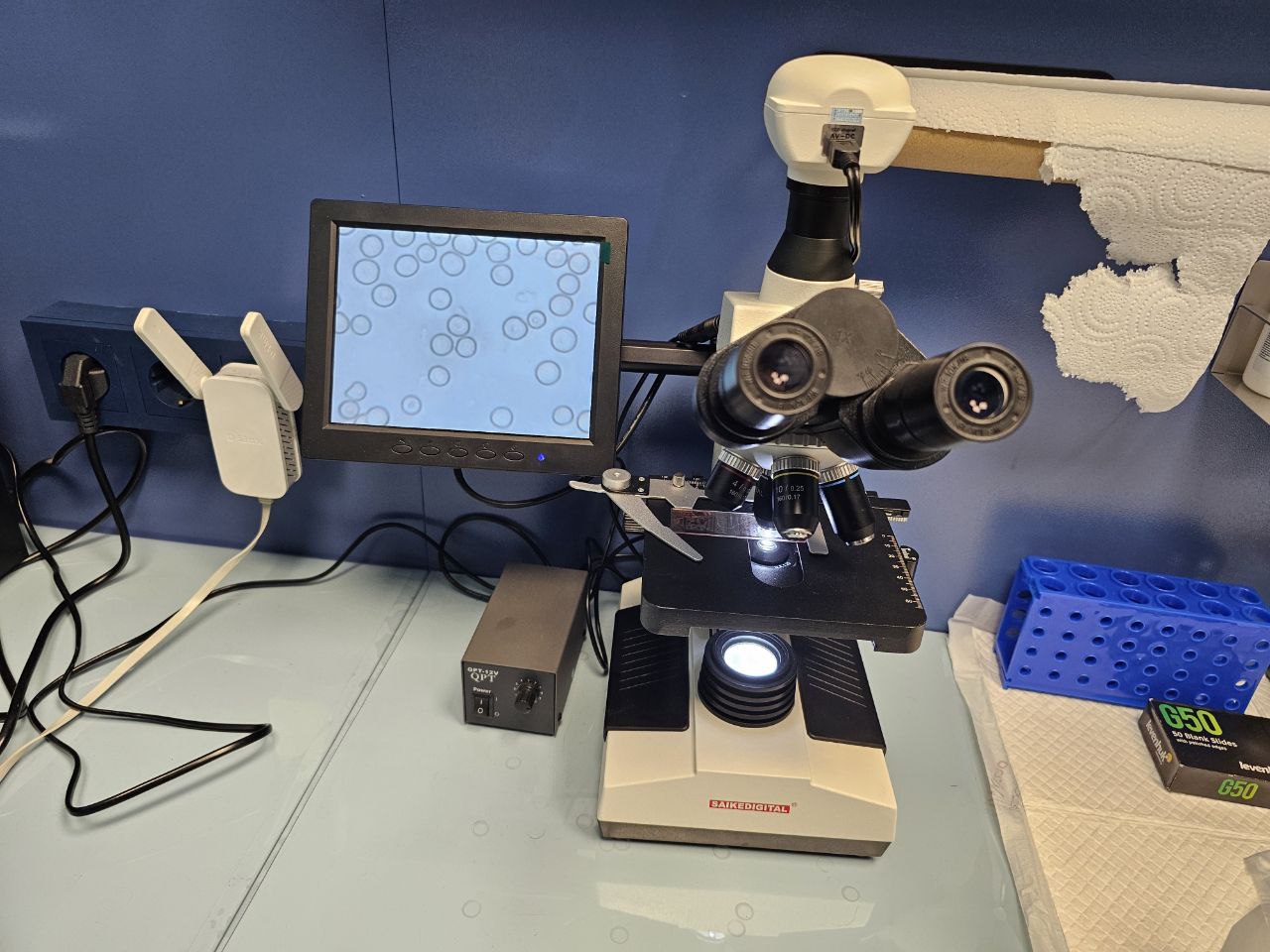 Экспресс-анализ крови