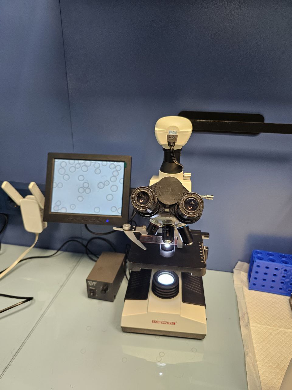 Консультация в ветклинике