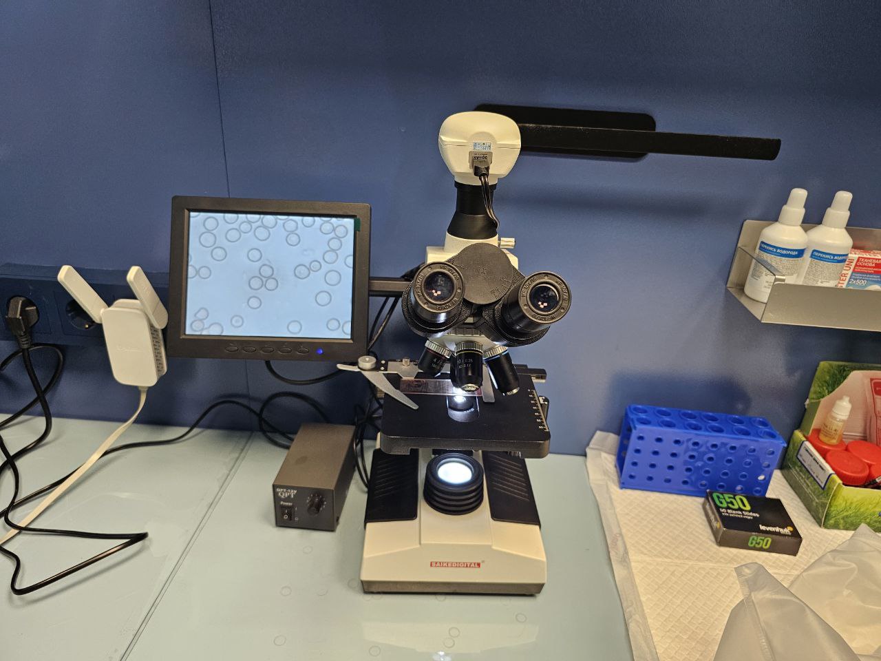 Консультация в ветклинике