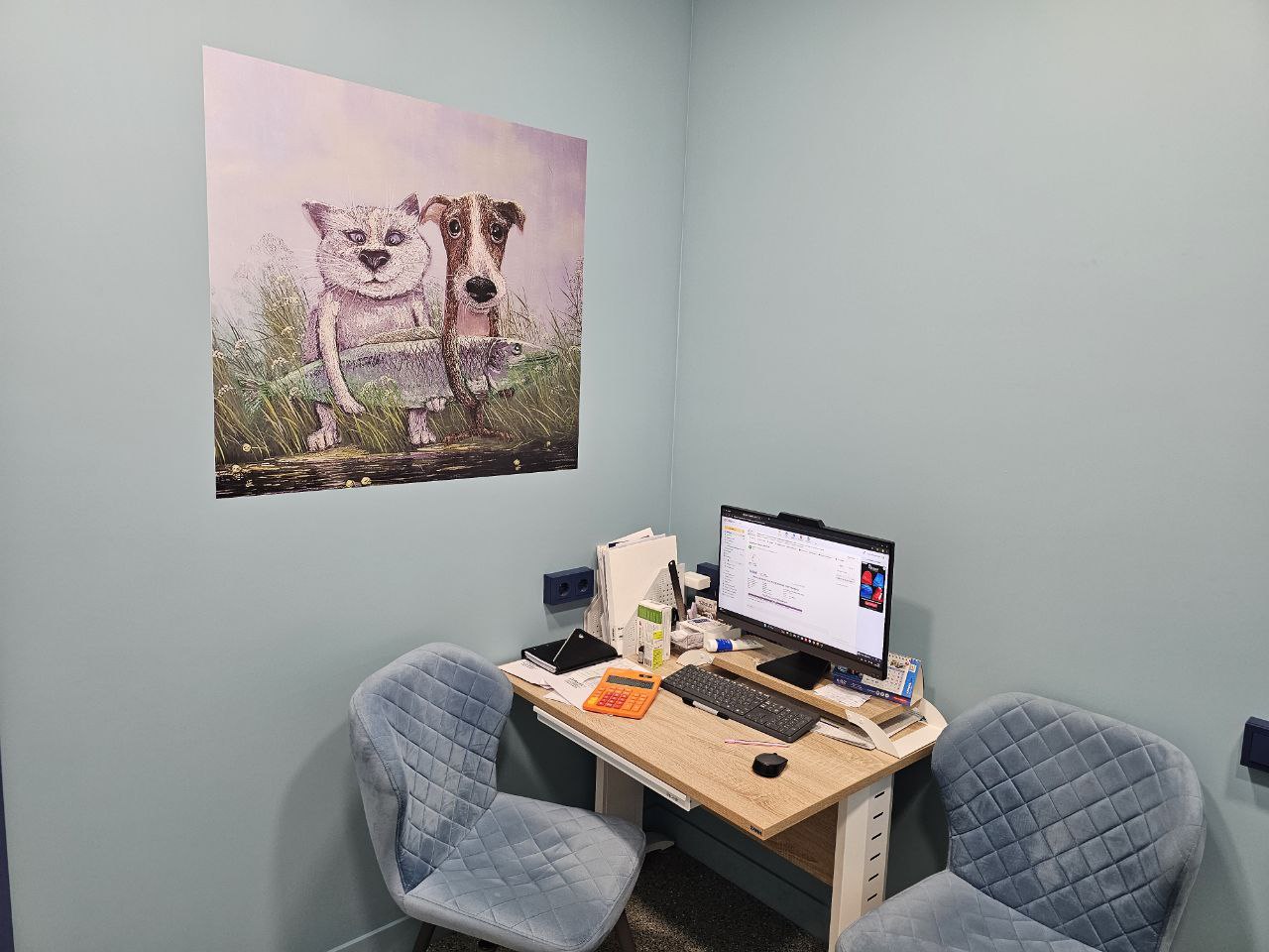 Прием ветеринарного врача