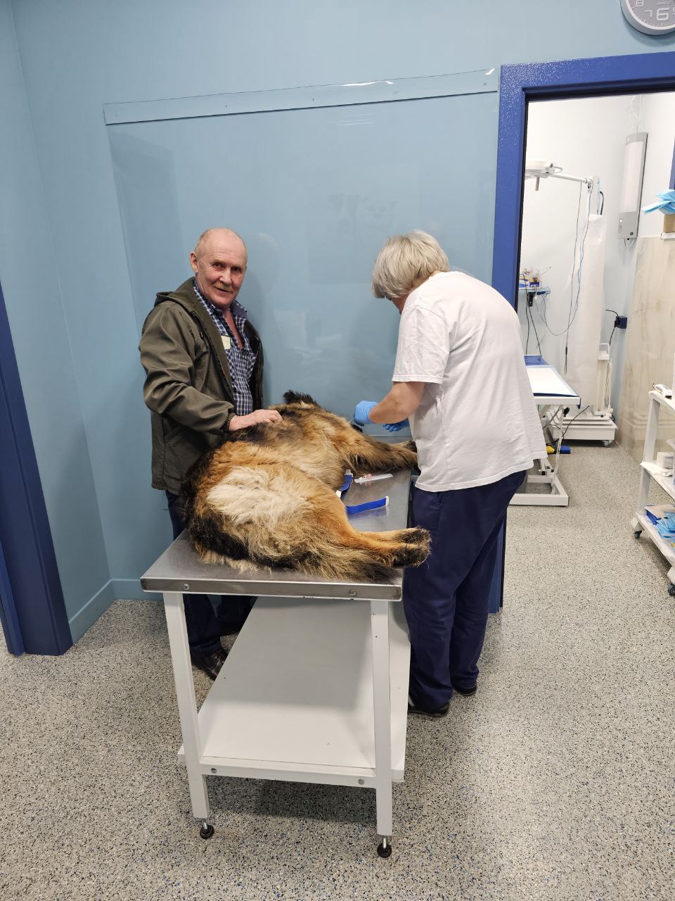 Удаление зуба