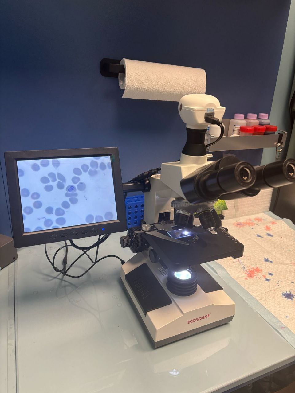 Процедурный кабинет ветклиники