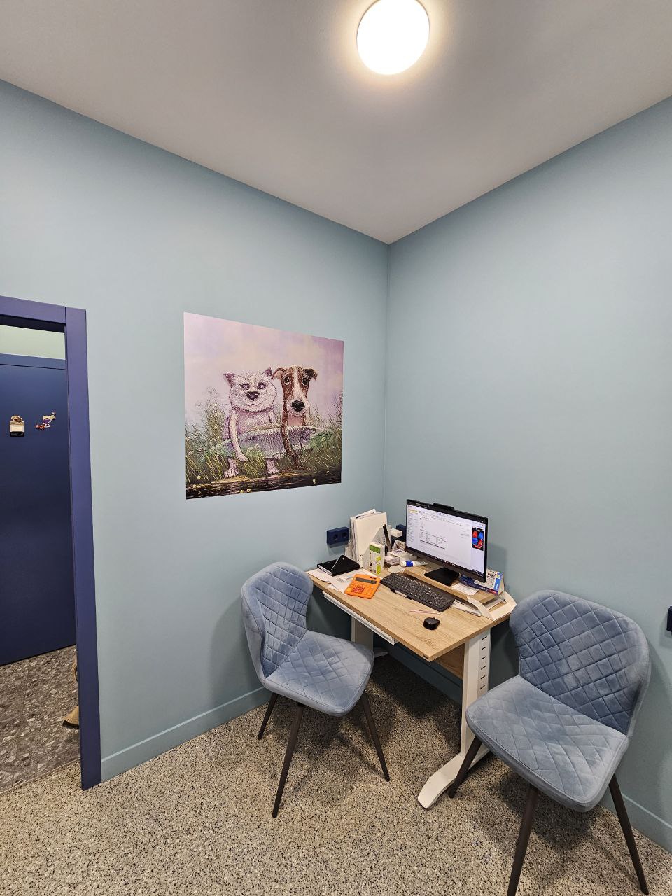 Консультация в ветклинике