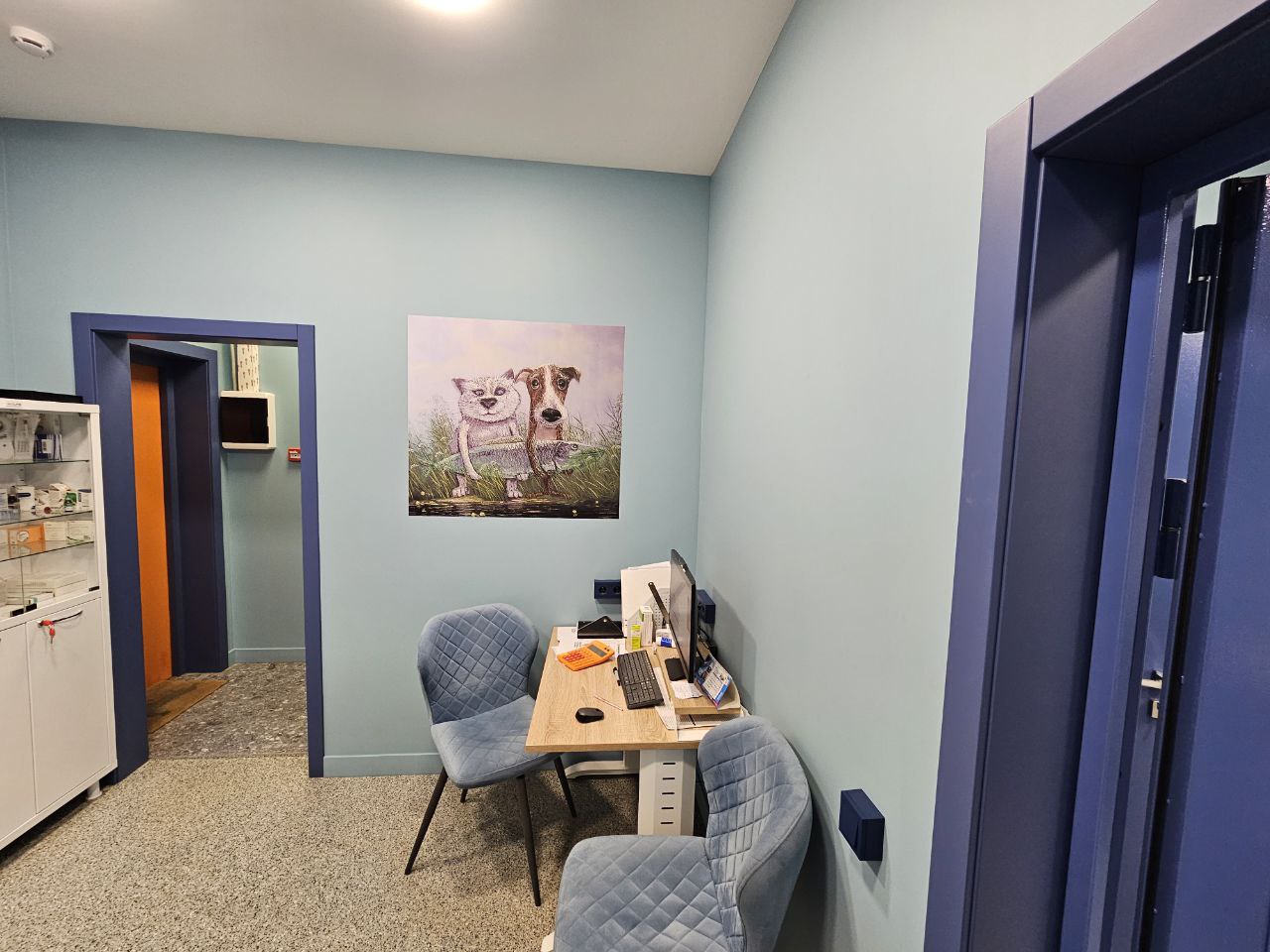 Современное оборудование ветклиники