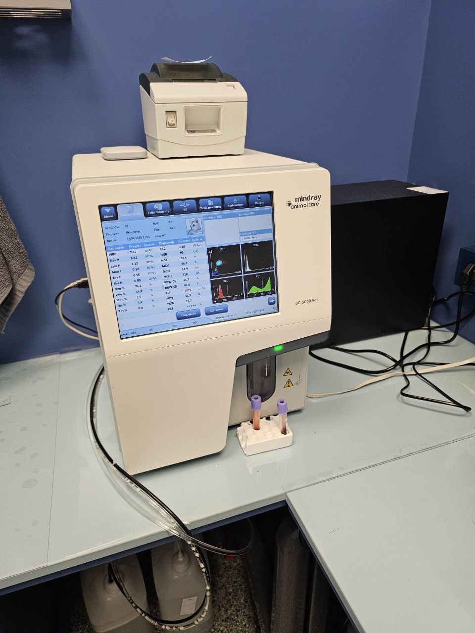 Купирование хвоста