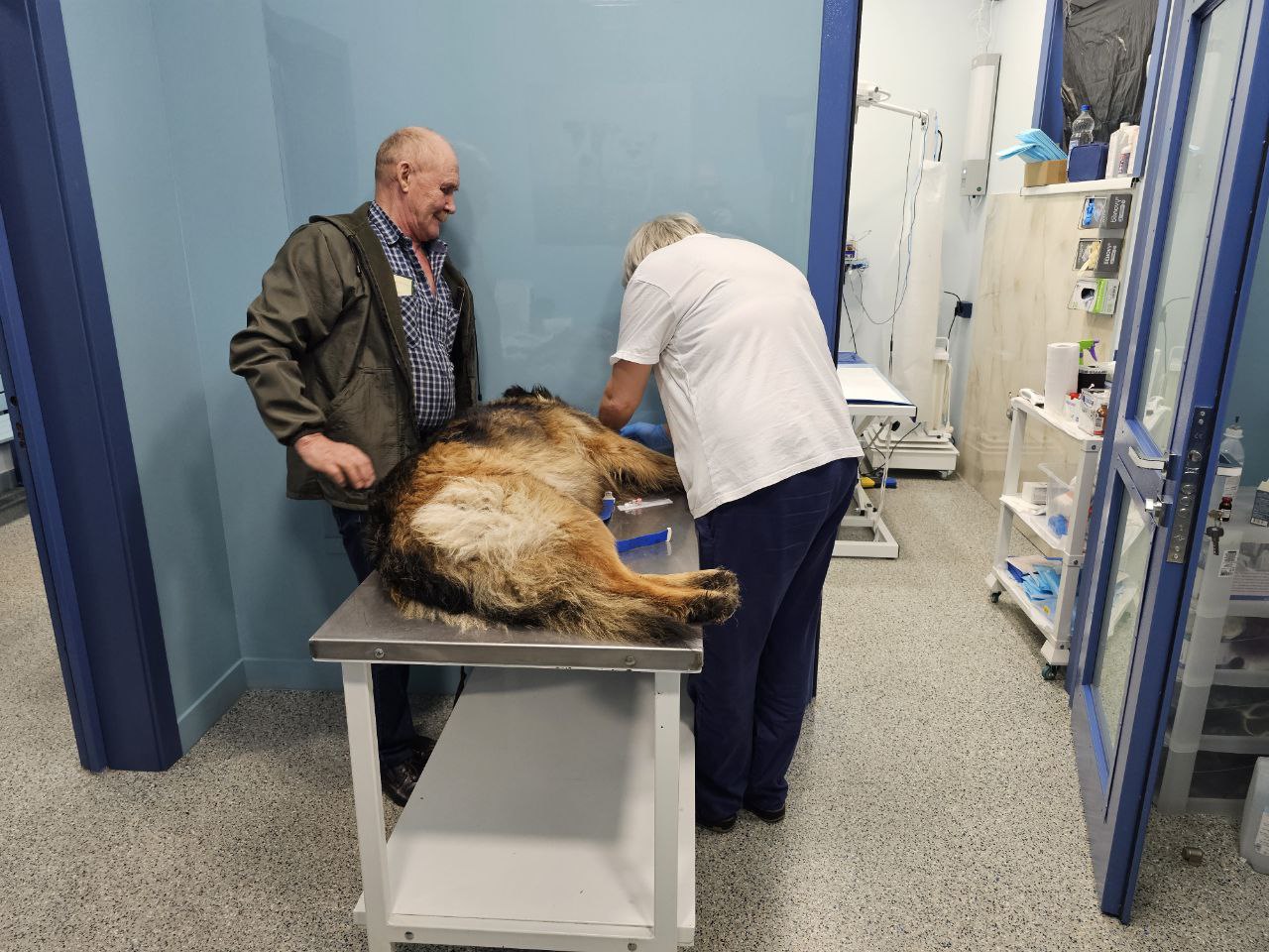 Стрижка когтей