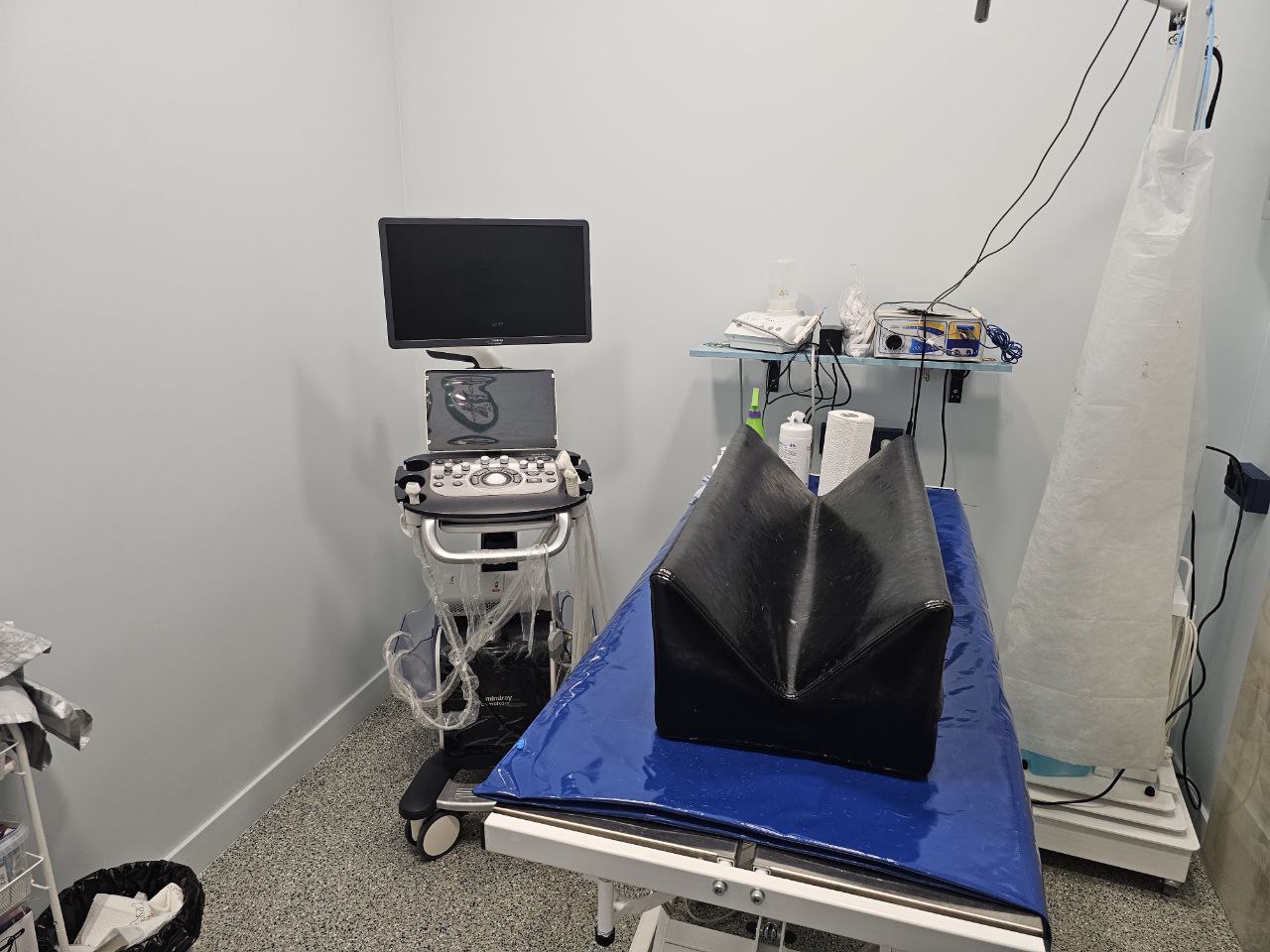 Лечение питомцев