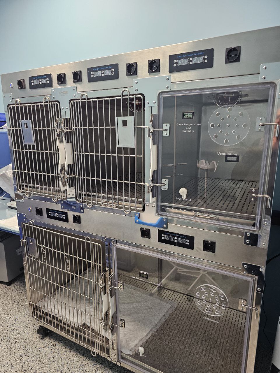 Вакцинация животных