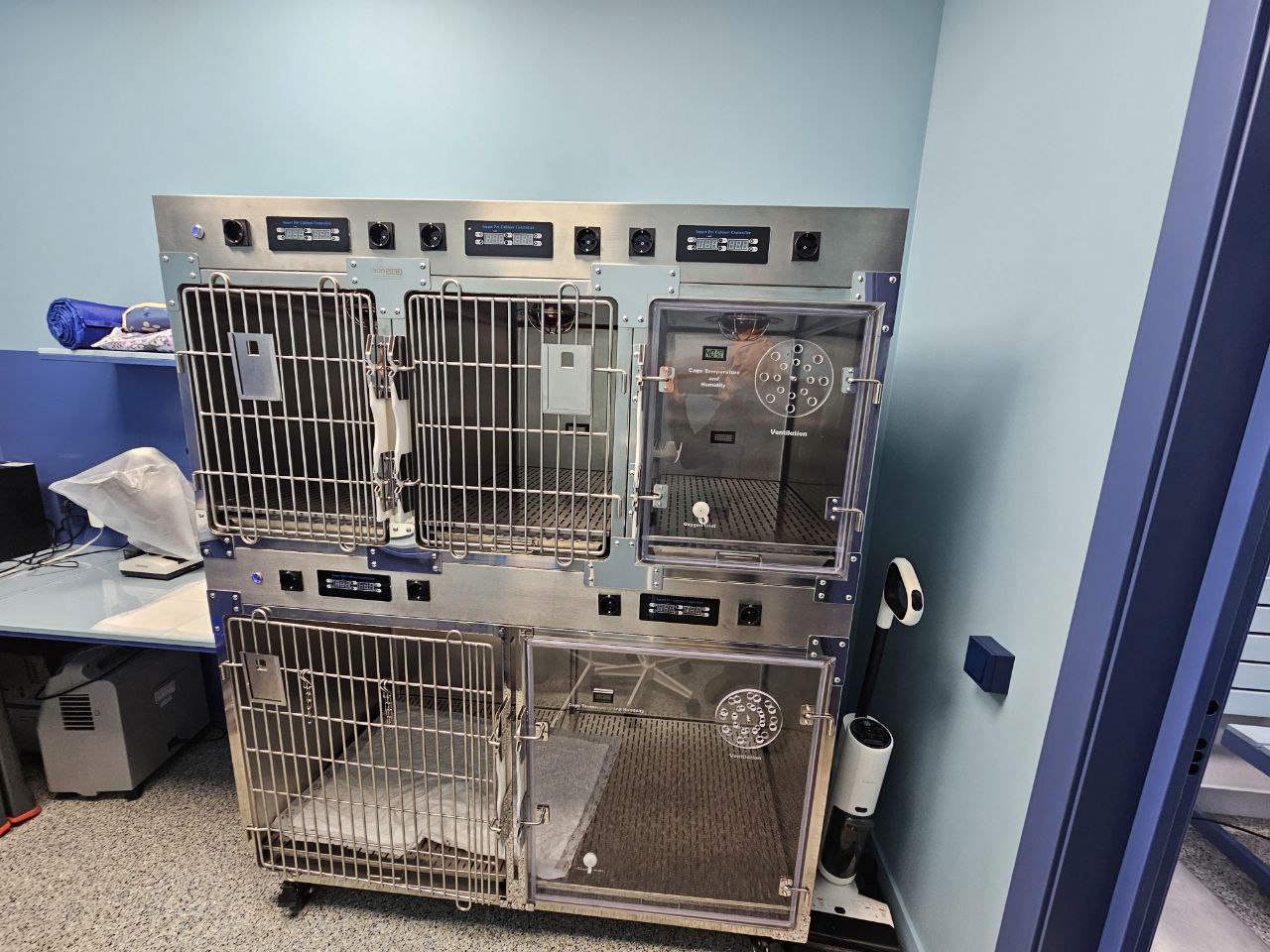 Вакцинация щенков, собак и кошек