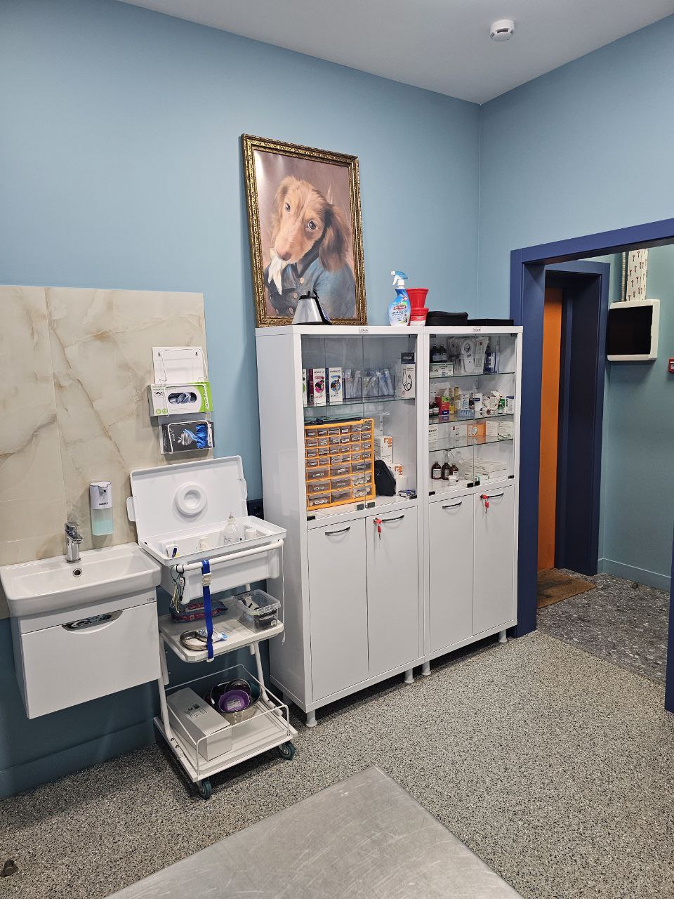 Прием ветеринарного врача