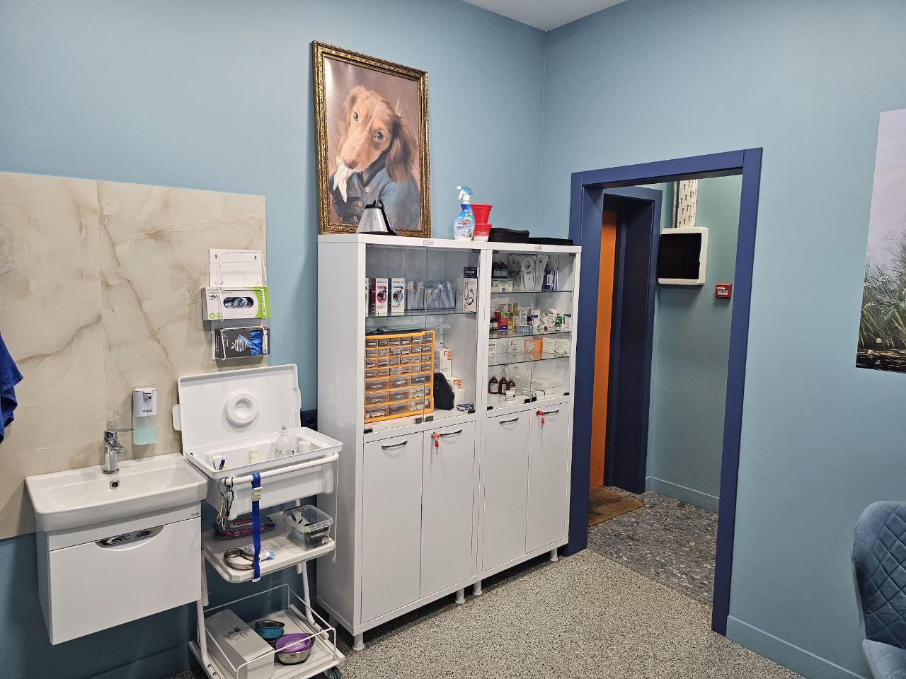 Стационар для животных