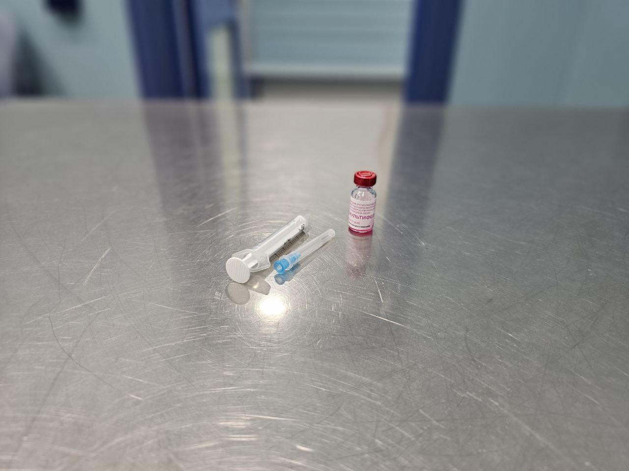 Консультация в ветклинике