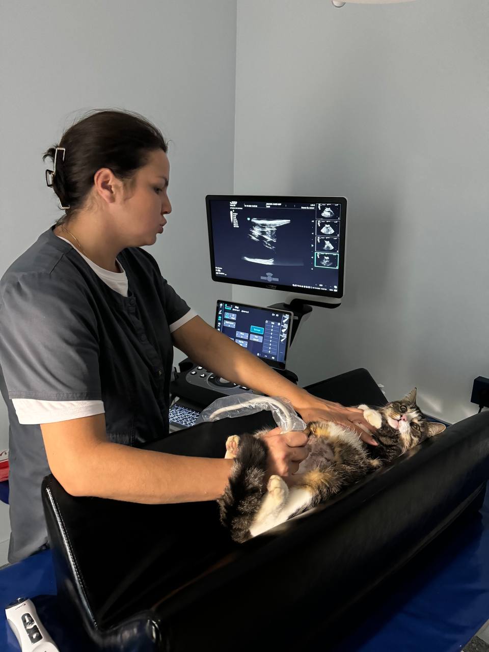 Современное оборудование